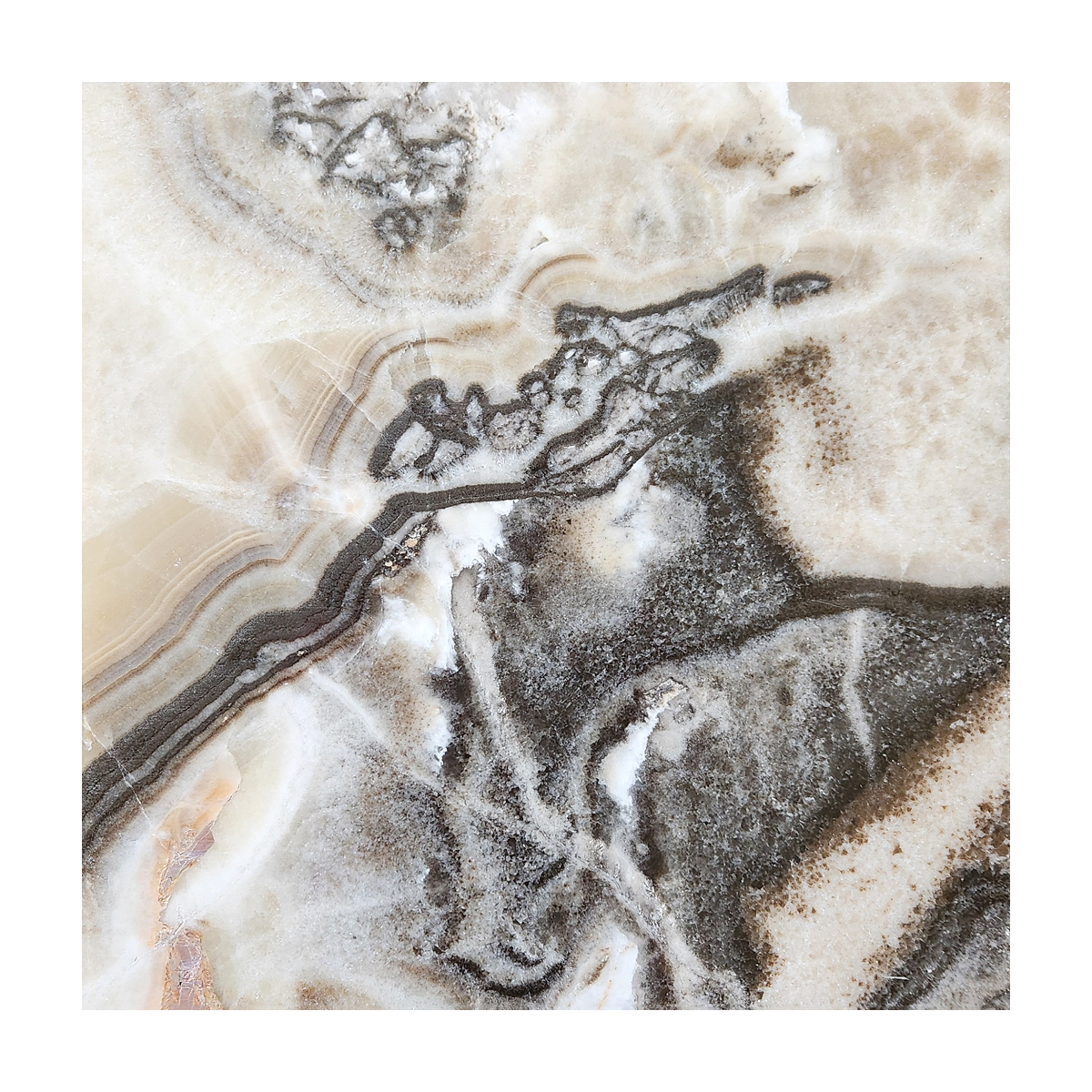 12" x 12" Tile Black & Gold Polished