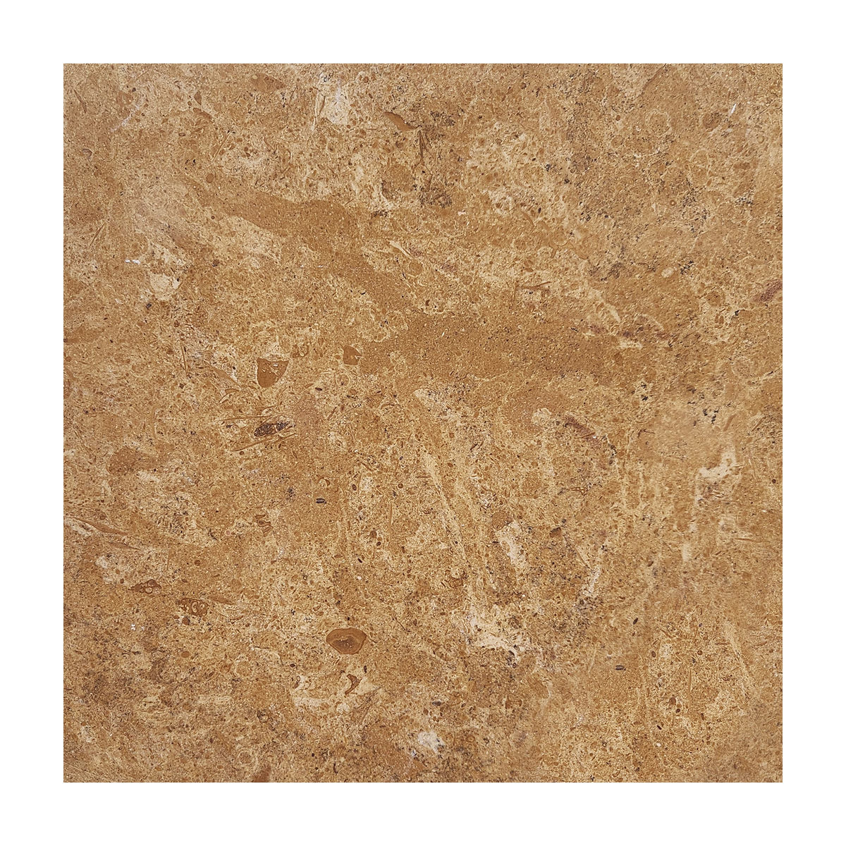 12" x 12" Tile Gold Pompeii Honed