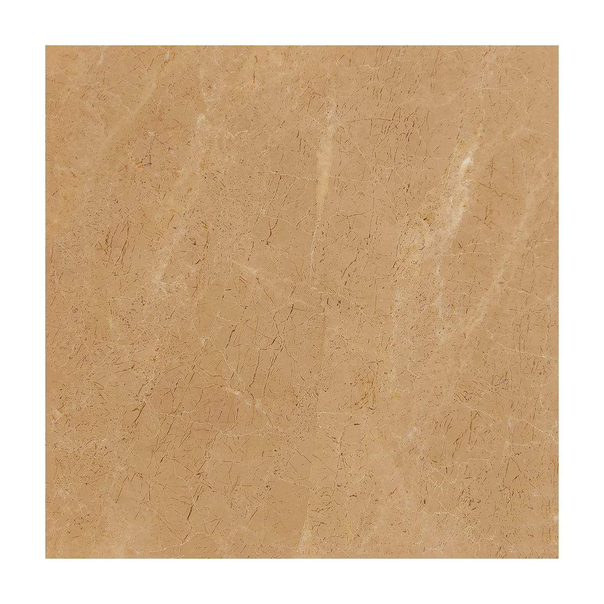 12" x 12" Tile Golden Beige Polished