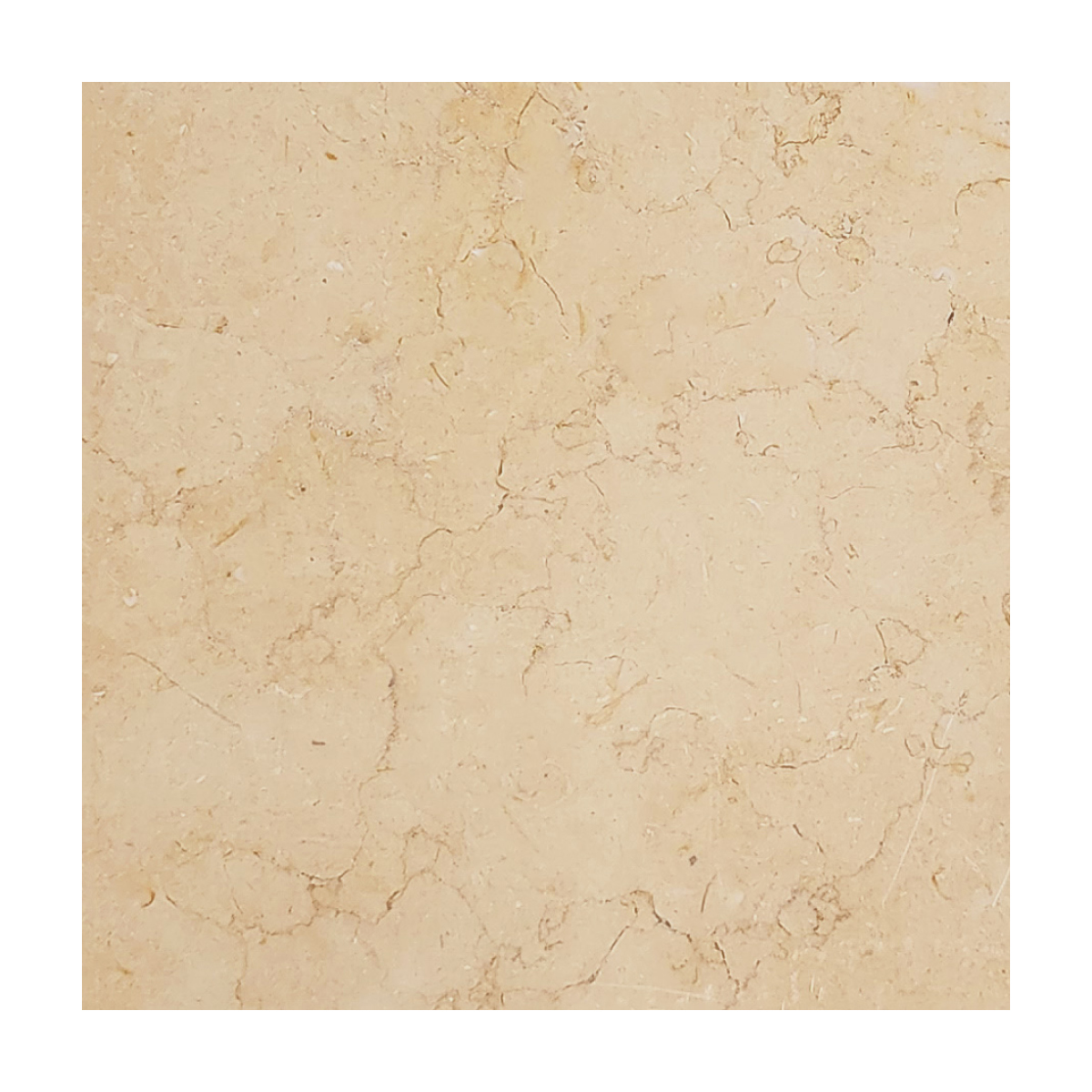12" x 12" Tile Jerusalem Gold Honed