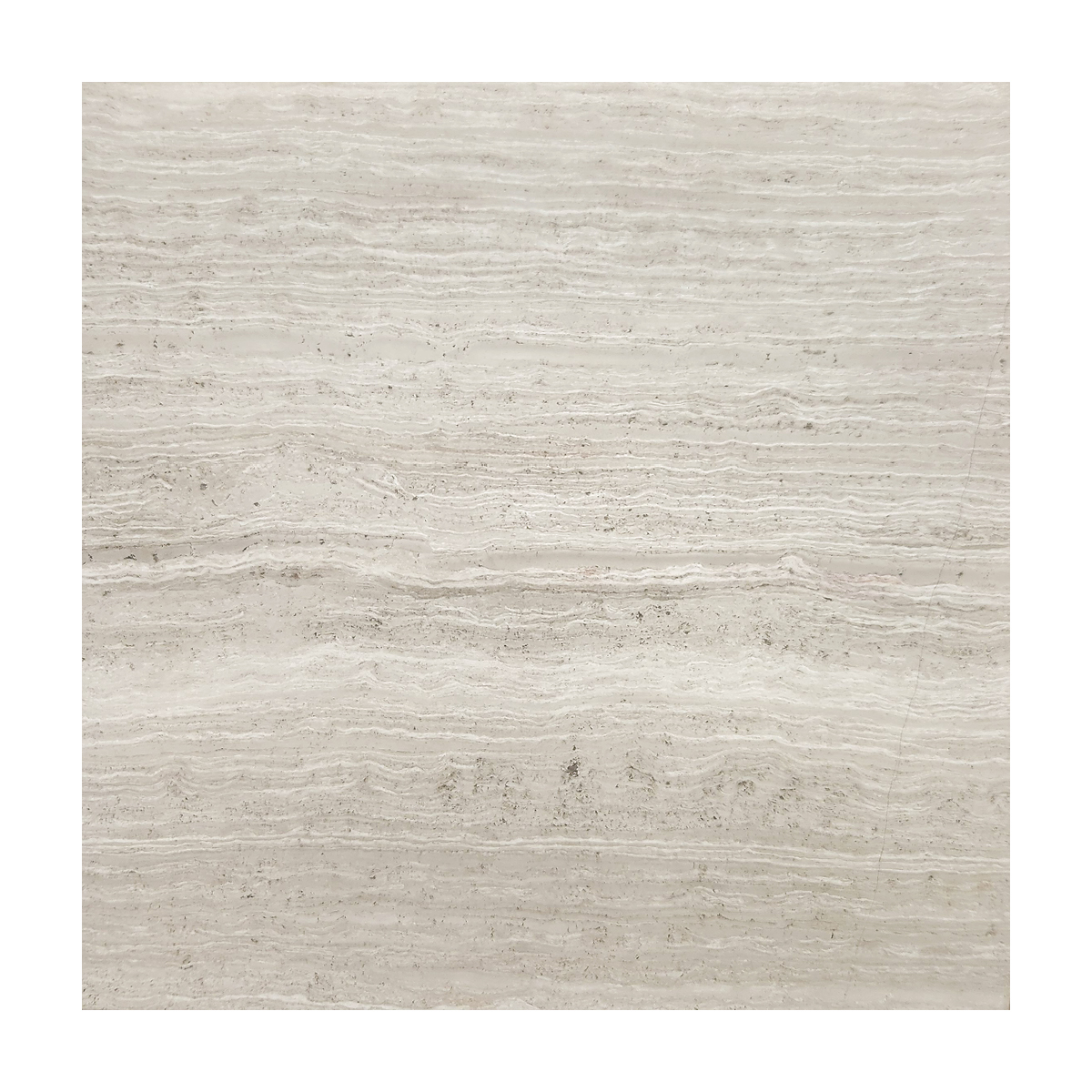 12" x 12" Tile White Stratta Honed